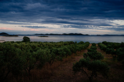 e28723f9-b259-4f06-bd17-ad828a4545cf