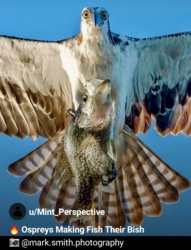 d1cbc4a7-145a-4378-bdc8-48ca00ce759d