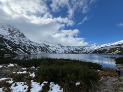 0fab24d5-1e1a-4df5-aa18-8c33bc354253