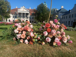 c28abe64-d8ae-46eb-a0e9-2af3ab44b153