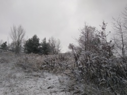 191bb121-6342-4aba-9fa7-0542b1897fba