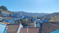 0bf5a925-2f8e-4542-b9f4-18353de5642c