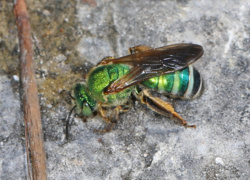 37e7191a-3782-4259-89ba-eaa923d6a634