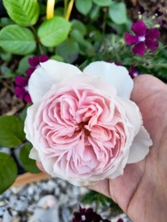 74660ba7-4d24-4231-be23-bb3c6441b81c