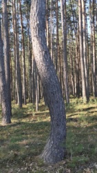 c2a30c24-105e-4d38-b77c-602f861498f4