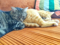 d29a75c2-b393-4639-a46c-a6e7fada9c76