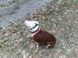 e10db59a-532e-4353-92b9-a8b81c95c9e1