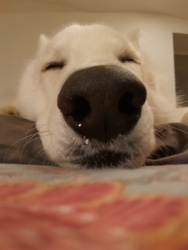 cbcea3ec-51cf-4ace-b8e5-be46ef7d0fad