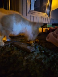 5defbd84-ae5c-424b-8080-74d08f9c2b1a