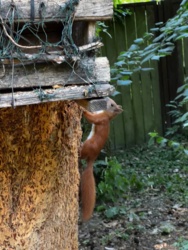 0bde30a0-c2f0-4f8c-9788-59712a64fa34