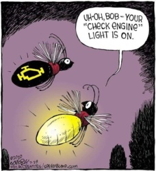 24edc0d6-aa3d-4259-9f6b-2d33204af559