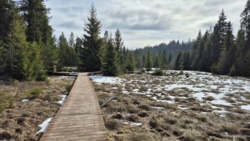 6032540c-43b8-463b-98c0-550e1d694bf8