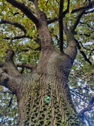 df5f6ed2-d45b-4ccf-8fdf-a5c42c5a4ecc