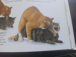 94c3c059-da46-4279-9a78-15ad8b906ecd