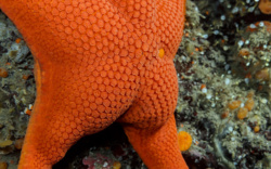 ae1fee60-2bab-48f4-8a8d-6fa2c9eeb2d7