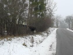 57ae23ca-444a-46a5-8f7d-bebe2851734e