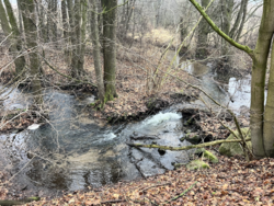 e8a5f8b4-deb1-4e7a-941f-a290339ff6ef