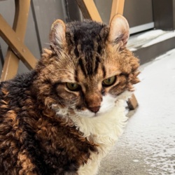 40194dff-7ada-4413-aa06-09aff68e7b5e