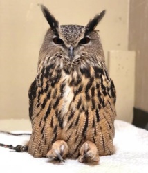 5ab629c9-2643-4154-b6dd-b53e87610c21