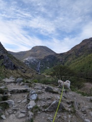 3000e362-fb90-4fa2-a5d4-1a25dc0f50f1