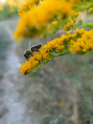 ad54069a-62cf-428b-9330-59b584ed986f