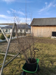 76f3eeb4-8360-46b4-bdff-76ea4cc1fa20