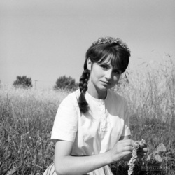 82cfe291-6582-4349-992d-0d3753f5ff84