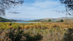 b078fb00-2712-4f05-8091-f8e9204acba2