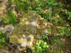 50ce96a4-5ef4-451d-ad46-3e6a36a591c6