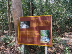 bfec038a-0725-48c4-ab09-08080bb9d6f1