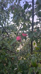 6479fff0-84fe-463d-b3b4-baa2dc8bb6e5