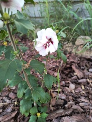 dc411e8d-5f6b-40e3-bcd2-ea5418a0d5b0