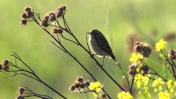 a7641ca0-ab61-4150-8e09-67bbe3d3eb17