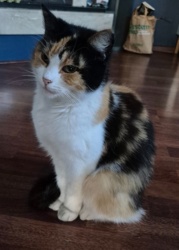 47ded3a3-0f50-4d2b-9411-463f3aff3fed