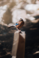 b35cef1f-5dee-4c6f-8207-6323020c64e2