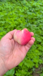 8dc011d1-9ffc-489c-b3d6-5cf8c05ba93d