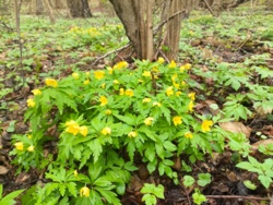 159dd70d-b990-402d-8b31-3249b5ac2707