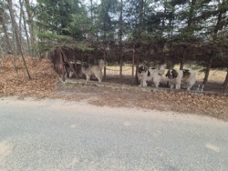 0105c3d1-df61-4add-ade7-ef17a8225f7f