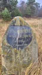 0e5a9096-542e-4412-a50c-9375aca28b02