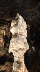 d6f1285c-3f16-4baa-9ed6-1be4d8ee72a6