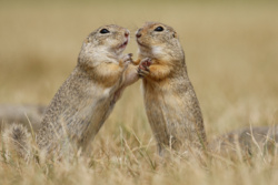 Witaj w domu, susu! 😘😘😘