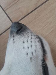 fe6899d8-8c3a-4c06-87ef-b3411fbd0024