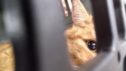 348f82a6-36d8-40de-ac11-cdf70e8d4041