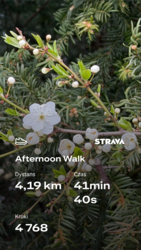 755bdaca-3471-4582-9dad-e8a49eab49e3