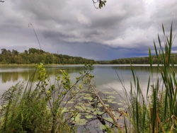 f5702d50-223a-4ddb-824e-3e09512cfbf2