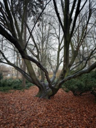 5575a012-729b-4a21-bc2f-f03d6826b3e7