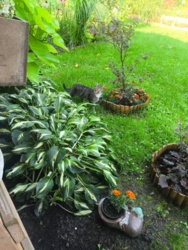 83e66a7e-c9a6-4bd4-8d25-0a0f24d5ce42