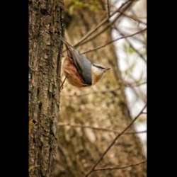 0cbef784-f4a2-4632-9aa6-58bb5e47069a