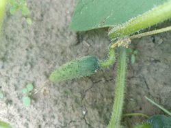 0c3baca8-1848-498a-9d10-a08660ab004c