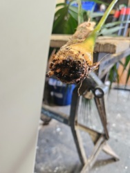 ff037b01-1a4c-4e68-b191-6785d2aa1eaf